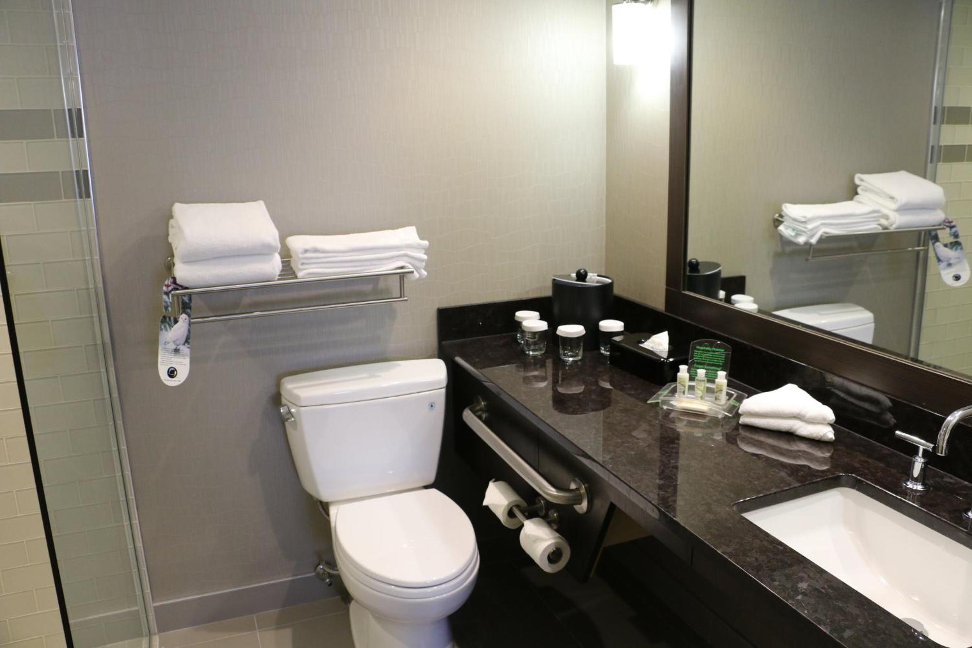 Holiday Inn Calgary Airport By Ihg Eksteriør bilde
